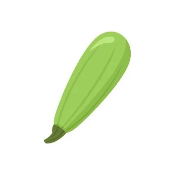 Squash icon flat isolated Stock Illustration