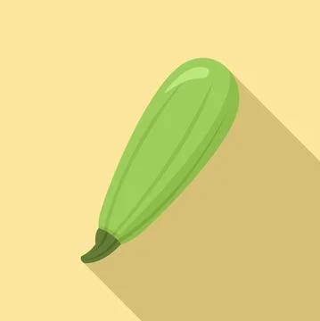 Squash icon, flat style Stock Illustration