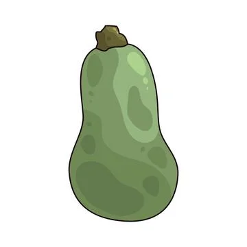 Squash illustration Stock Illustration