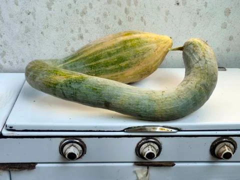 Squash Stock Photos