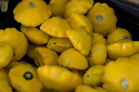 Squash Stock Photos