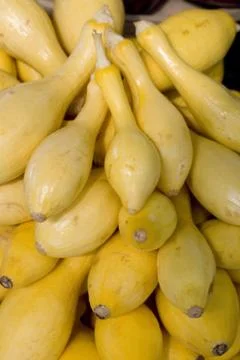 Squash Stock Photos