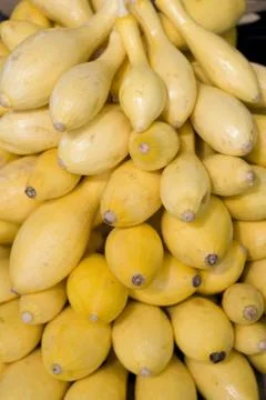 Squash Stock Photos