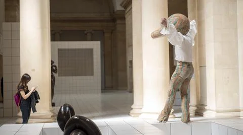 The Squash Stock Photos