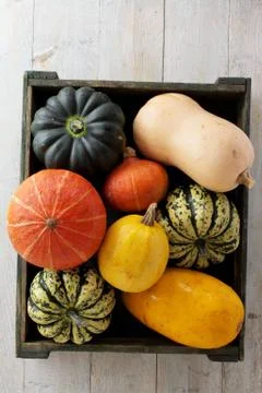 Squash selection Stock Photos