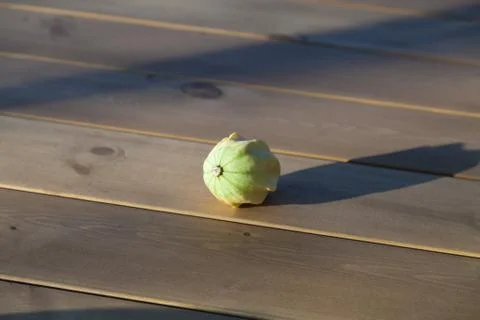Squash on the table Stock Photos