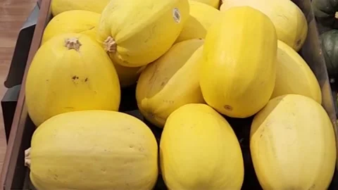 Squash Variety Stock Footage 224706675
