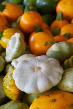 Squash variety Stock Photos