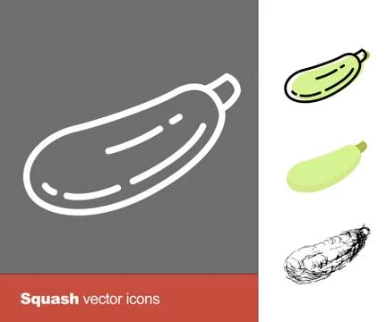 Squash vector icons. Thin line, flat, and hand drawn styles Stock Illustration