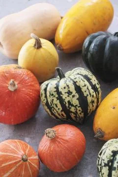 Squash vegetable selection Stock Photos