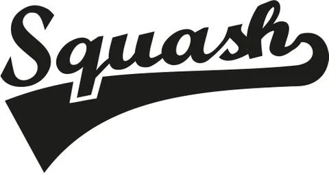 Squash word retro Stock Illustration