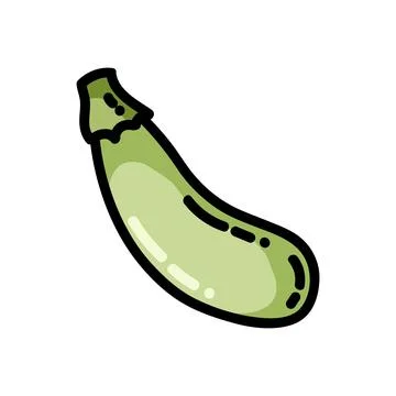 Squash zucchini flat outlined icon. Vector vegetable logo isolated on white b Stock Illustration
