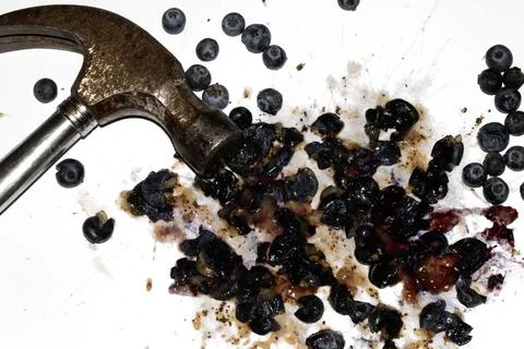 Squashed and crushed blueberries fruit berries splattered with a hammer on .. Stock Photos
