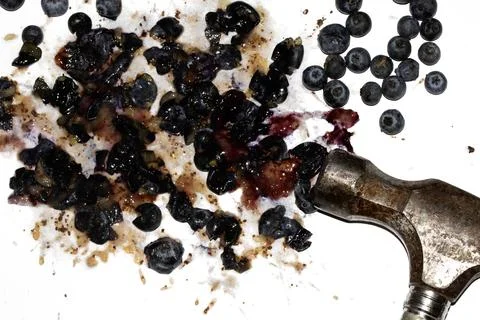 Squashed and crushed blueberries fruit berries splattered with a hammer on .. Stock Photos