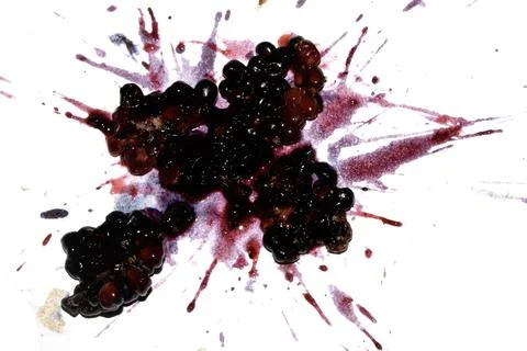 Squashed exploding and crushed blackberries fruit berries splattered on a w.. Stock Photos