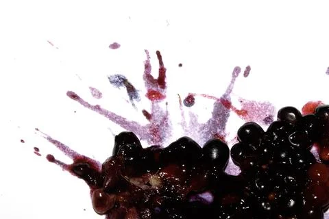 Squashed exploding and crushed blackberries fruit berries splattered on a w.. Stock Photos