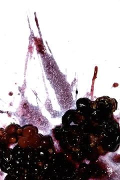 Squashed exploding and crushed blackberries fruit berries splattered on a w.. Stock Photos