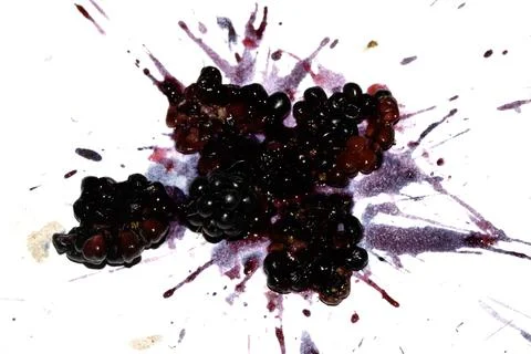 Squashed exploding and crushed blackberries fruit berries splattered on a w.. Stock Photos