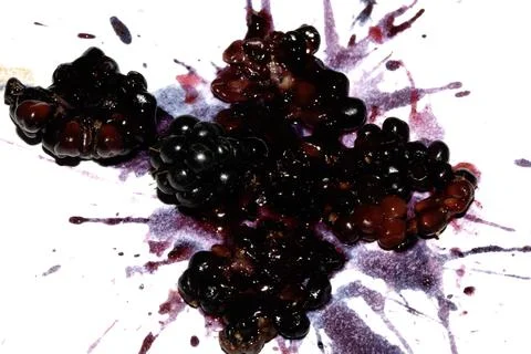 Squashed exploding and crushed blackberries fruit berries splattered on a w.. Stock Photos
