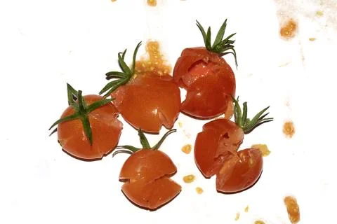 A squashed splattered and crushed broken fresh tomato with seeds Stock Photos