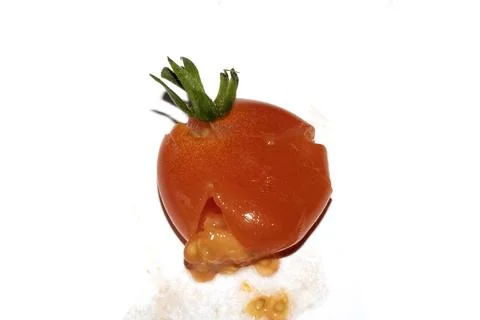 A squashed splattered and crushed broken fresh tomato with seeds Stock Photos