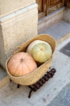 Squashes Stock Photos