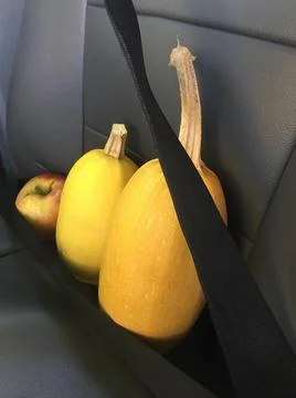 Squashes Stockfoto's