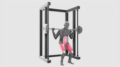 Squat Multipower Stock Footage 158326345