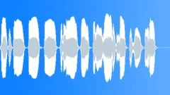 SQUEAK, HORN Sound Effect