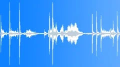Squeaking closing wooden door of an old wooden shed Sound Effect
