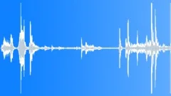 Squeaking closing wooden door of an old wooden shed Sound Effect