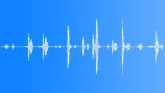 Squeaking Wheel sound effect 02Sound Effect