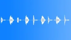 SqueakMultiple S011CT.5Sound Effect