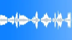 Squeaks Most HorridSound Effect