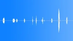 Squeaky floorSound Effect