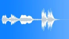 SQUEAKY GATE CLOSING 1 (Sound Effect) Sound Effect