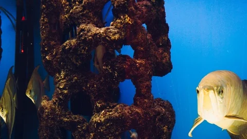 Squeaky person close-up Stock Footage 86253648