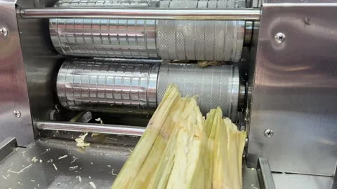 Squeeze a drink from sugar cane. produce sweet rum drink. Street vendor chop up Stock Footage 310428427