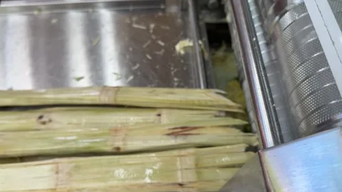 Squeeze a drink from sugar cane. produce sweet rum drink. Street vendor chop up Stock Footage 310428546