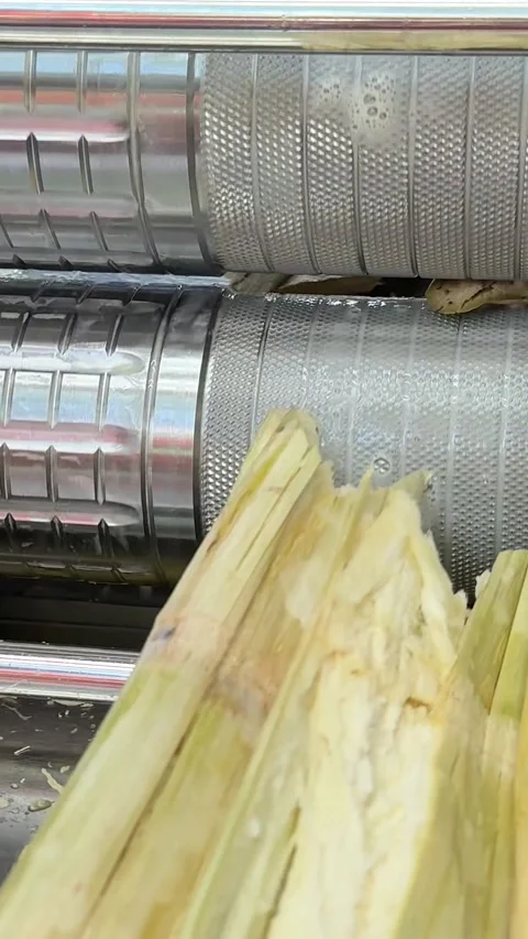 Squeeze a drink from sugar cane. produce sweet rum drink. Street vendor chop up Stock Footage 313528546