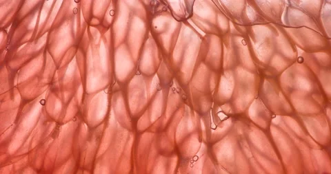 Squeeze Grapefruit Tender Pulp 4K Stock-Footage 96526366