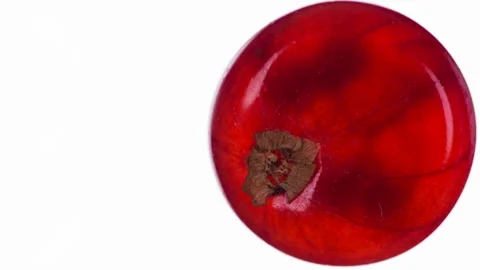 Squeeze One Red Currant HD Stockbeeldmateriaal 346553222