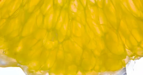 Squeeze Orange Lobule 4K Video stock 96375247
