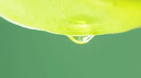 Squeeze out juice Stock Footage 34221240