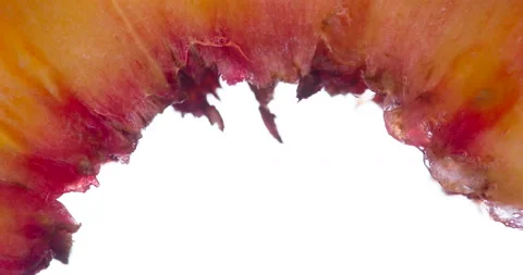Squeeze Pulp Ripe Peach 4K Video stock 96377846