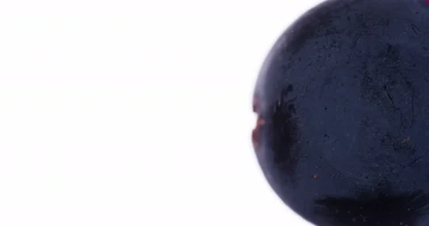 Squeeze a Round Berry of Black Grape 4K Video stock 96704951