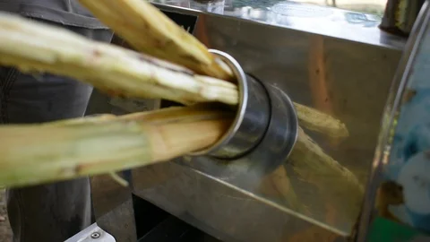 Squeeze sugar cane Stock Footage 130037777