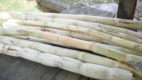 Squeeze sugar cane Stock Footage 130037793
