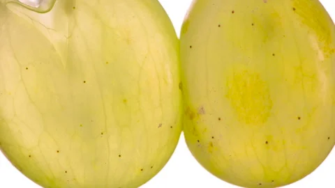 Squeeze the Two Halves of Green Grape HD Stock Footage 346547730