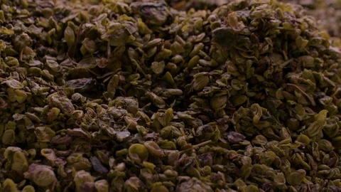 Squeezed grapes with a woman's hand Stock Footage 72185968